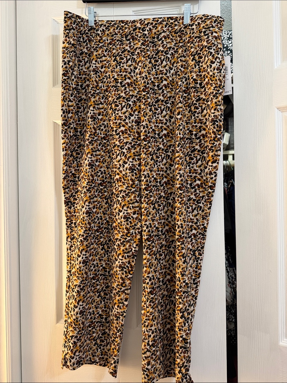 NWT pants